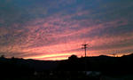20110614191221.jpg