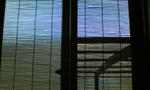 20110622082324.jpg
