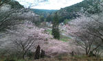 20111110124303.jpg