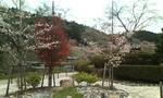20111110103219.jpg