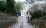 20111110125823.jpg