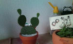 20120604080616.jpg