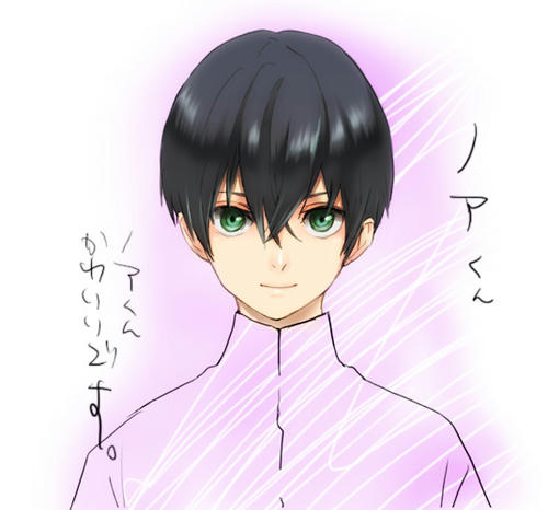 noa.jpg