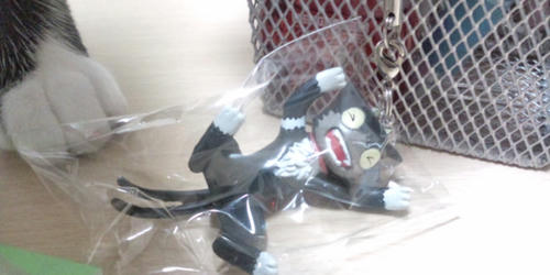 20111102185957.jpg