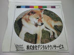 P1000207.JPG