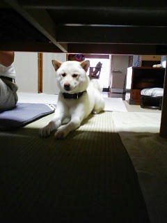 kosuke2010summer.jpg
