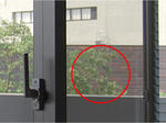 tree02.jpg