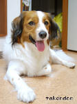 giova_smile03.jpg