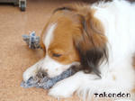 giova_toy02.jpg
