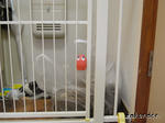 http://blog.cnobi.jp/v1/blog/user/38590daf59ae7ef8c8caacb141f5ab7b/1187509397?w=150&h=112
