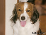 PICT0049.jpg