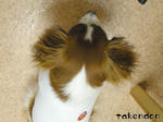 PICT0031.jpg