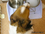 PICT0033.jpg