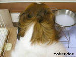 PICT0035.jpg