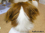 PICT0038.jpg