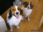 PICT0026.jpg