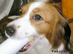 PICT0019.jpg
