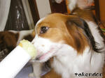 PICT00200.jpg