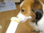 PICT0027.jpg