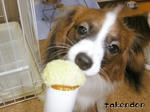 PICT0029.jpg