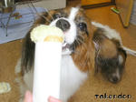 PICT0032.jpg