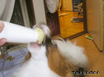 PICT0034.jpg