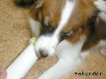 PICT0036.jpg