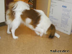 PICT0037.jpg