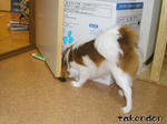 PICT0039.jpg