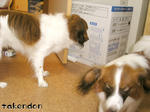 PICT0043.jpg