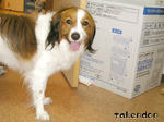 PICT0044.jpg