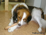 PICT0058.jpg