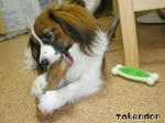 PICT0062.jpg