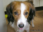 PICT0028.jpg