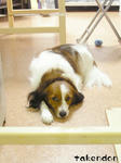 PICT0084.jpg