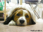 PICT0085.jpg