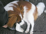 PICT0059.jpg