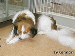 PICT0076.jpg