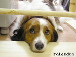 PICT0082.jpg