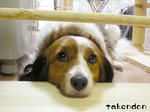 PICT0083.jpg