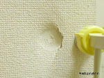 PICT0004.jpg