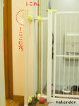 PICT0008.jpg