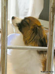 PICT0010.jpg