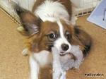 PICT0018.jpg