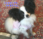 sophy2.jpg