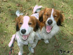 2007_10250222.jpg