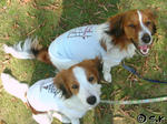 2007_10250224.jpg