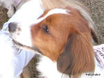 RIMG0087.jpg