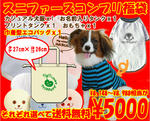 comple_set_l2.jpg