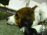 RIMG0072.jpg